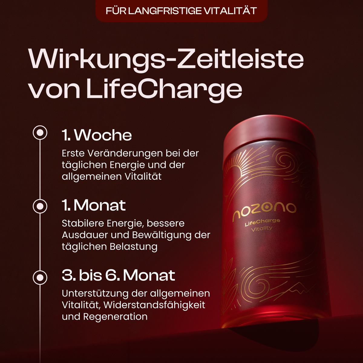 LifeCharge