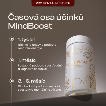 MindBoost