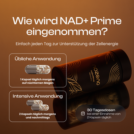 NAD+ Prime